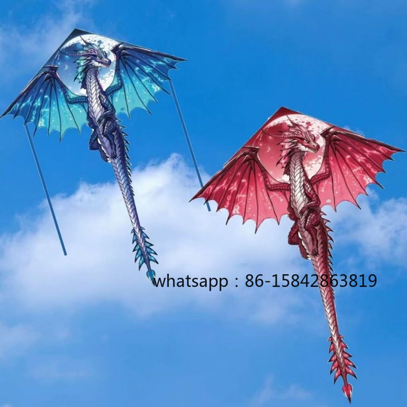 Kite Wind Outdoor - Nuevos cometas pterosaurios profesionales para volar,
