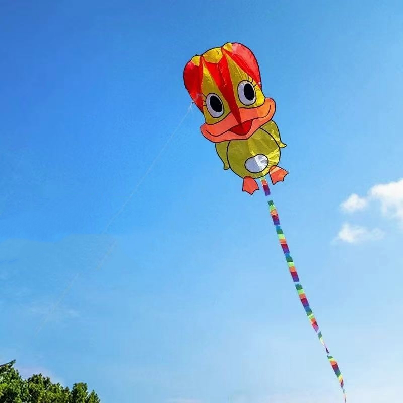 Kite Wind Outdoor - Cometas inflables, cometas de pato, cometas