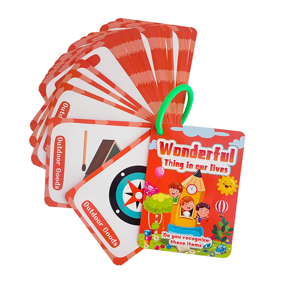 Tarjetas de Memoria de Objetos - Educational Flash Card reseña y precio