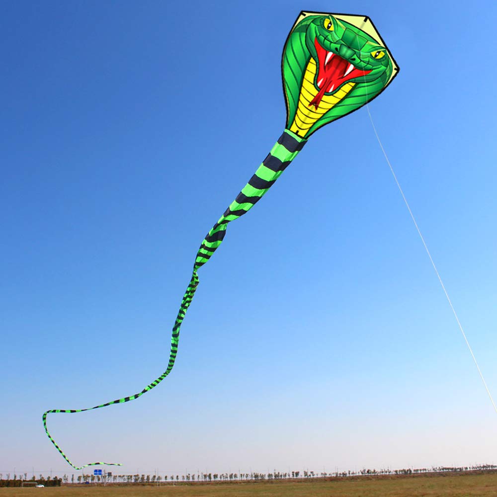 Cometas de viento de animales  - Kite Wind Outdoor reseña y precio
