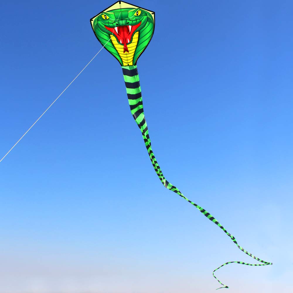 Cometas de viento de animales  - Kite Wind Outdoor reseña y precio