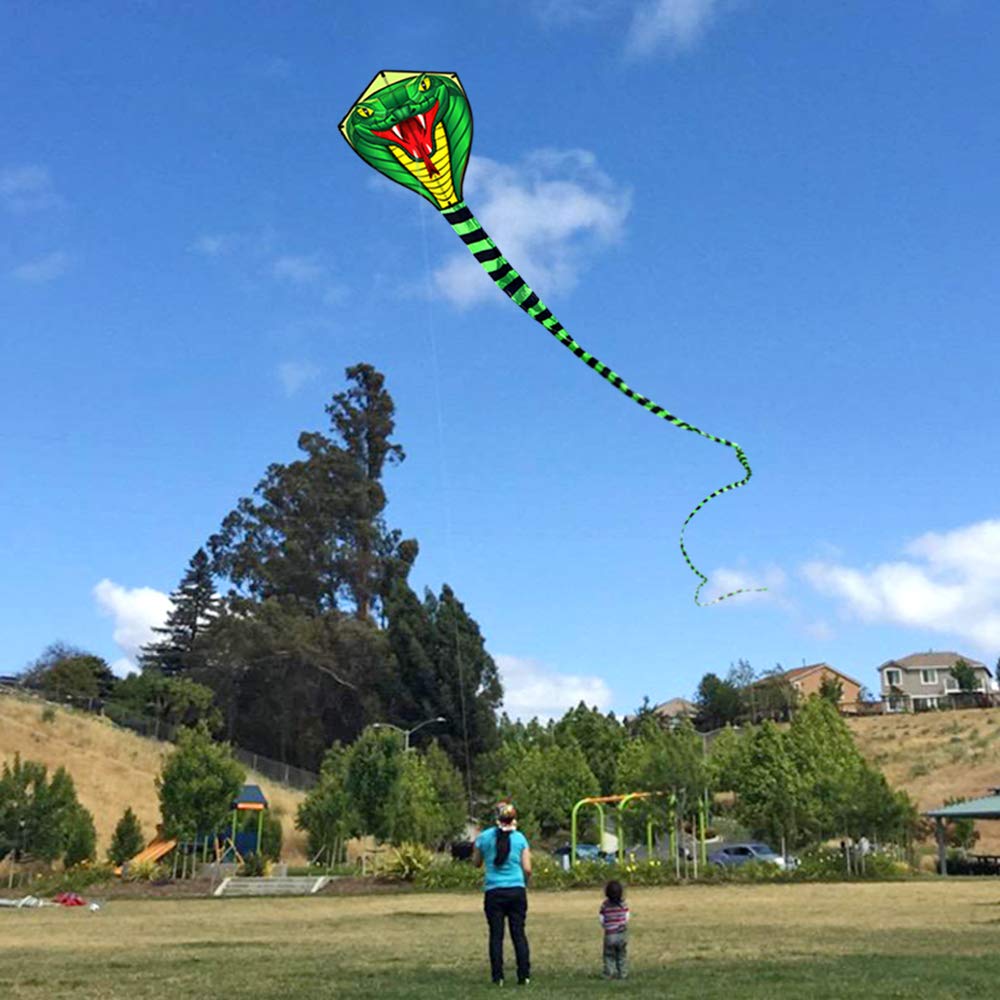Cometas de viento de animales  - Kite Wind Outdoor reseña y precio