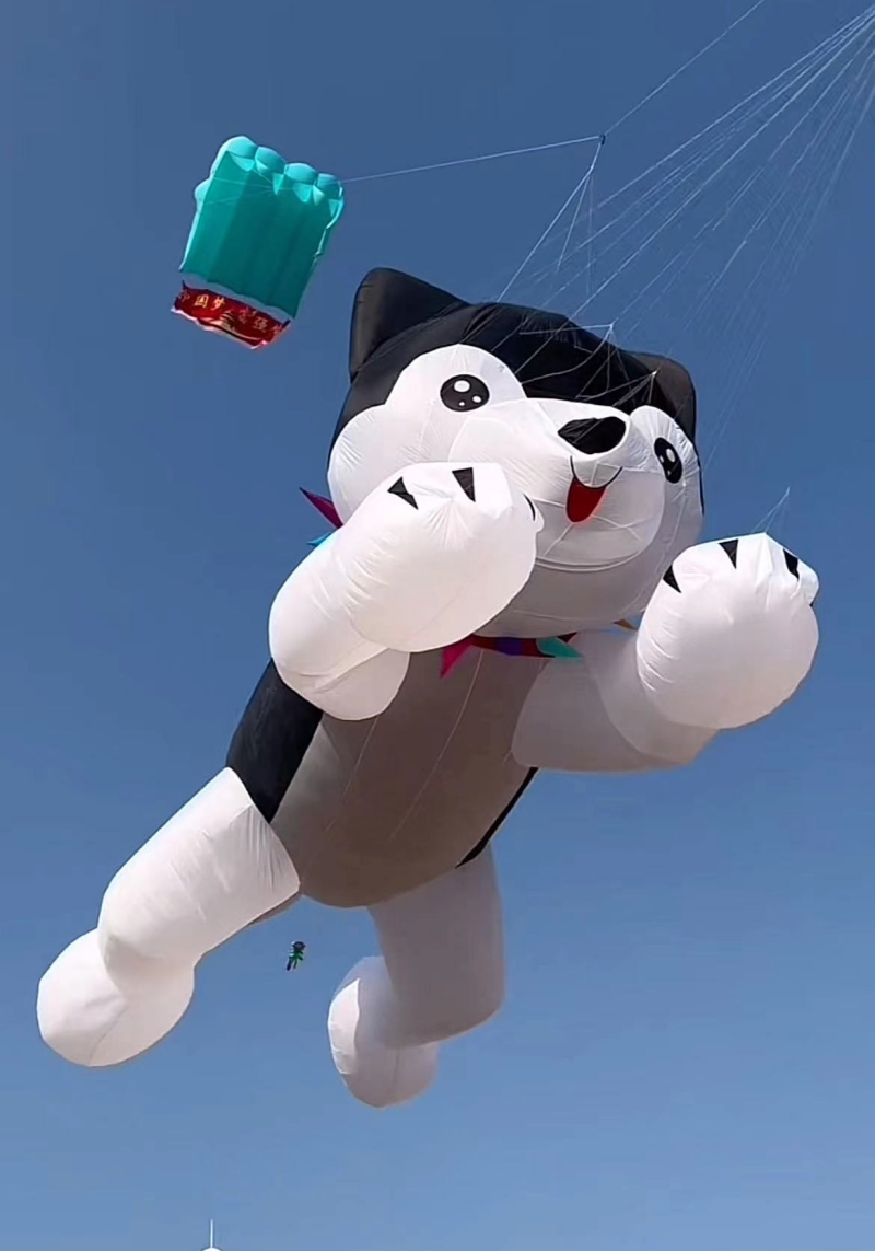 Cachos gigantes voladores, pip - Kite Wind Outdoor reseña y precio