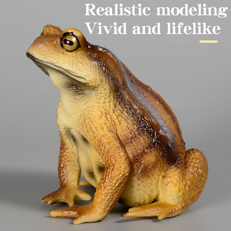 Figura de Rana Anfibia, Modelo - Kids Toys Packaging reseña y precio