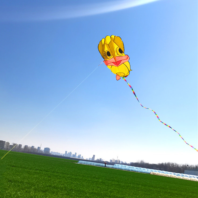Cometas inflables, cometas de  - Kite Wind Outdoor reseña y precio