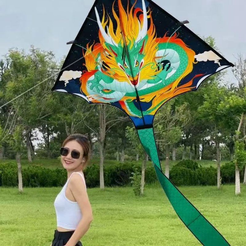 Pipa de dragón, juguetes para  - Kite Wind Outdoor reseña y precio