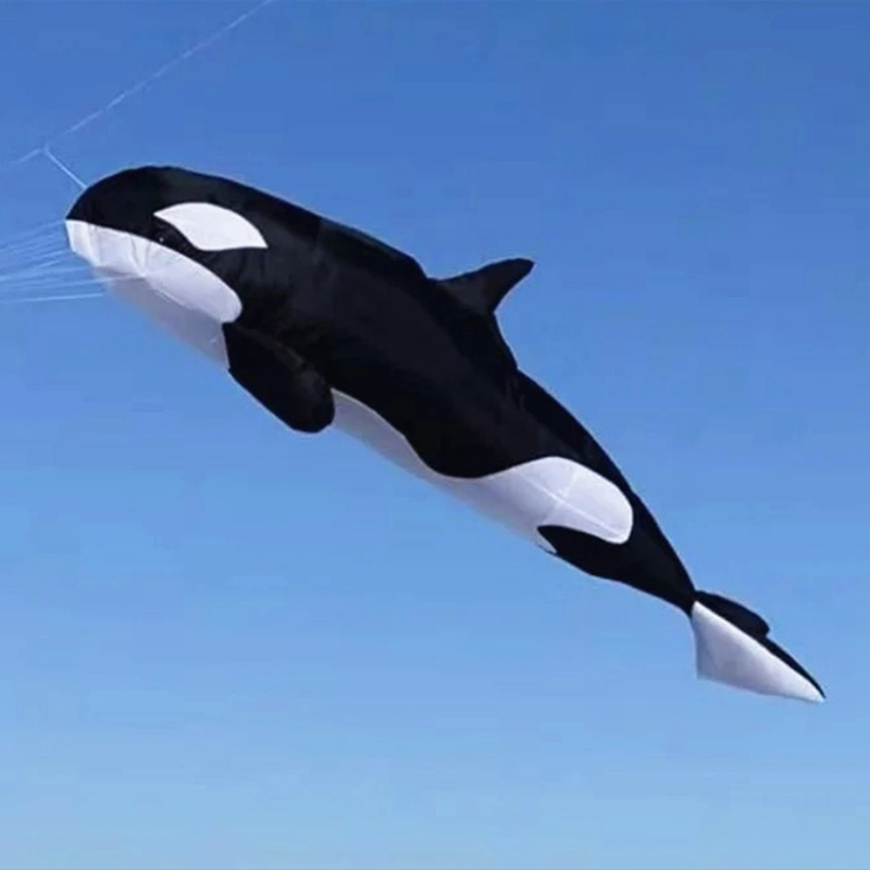 10m ballena asesina tela multi - Kite Wind Outdoor reseña y precio