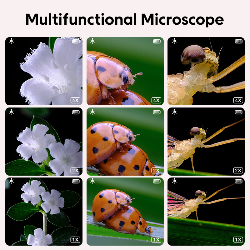 Mini microscopio óptico para n - Kids Toys Videos reseña y precio